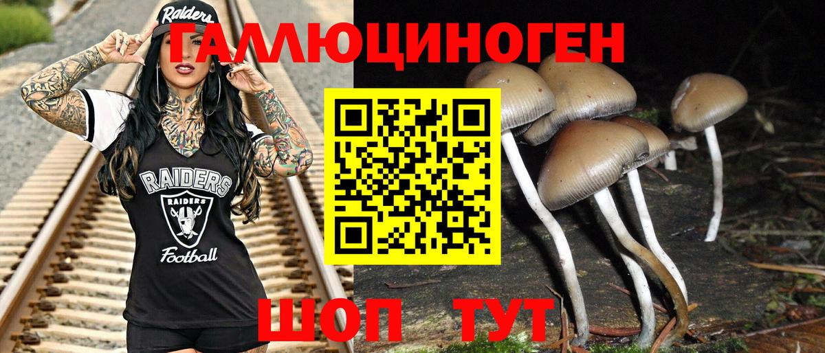 Псилоцибиновые грибы GOLDEN TEACHER  купить закладку  Вход с VPN  Александров  Галлюциногенные грибы Cubensis 